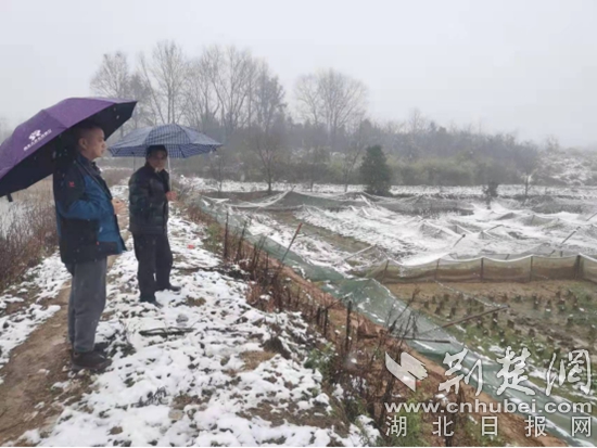 市發(fā)改局駐陳貴鎮(zhèn)上羅村工作隊檢查農(nóng)業(yè)防寒防凍工作.jpg