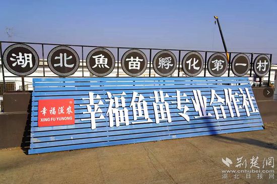 6、湖北魚苗第一村_副本.jpg