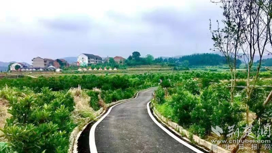 高垴村通村公路.jpg