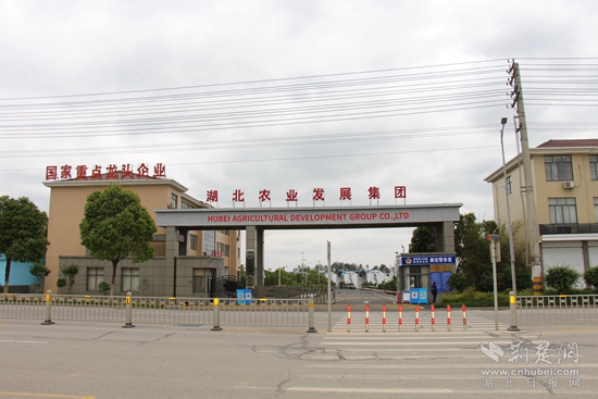 國(guó)家級(jí)重點(diǎn)龍頭企業(yè)  康宏糧油.jpg