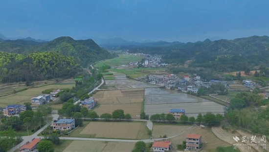 通山 農(nóng)業(yè)2.jpg